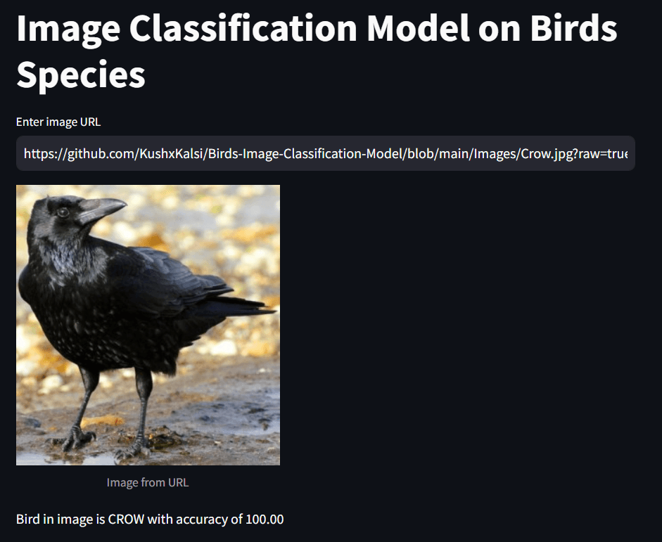Birds Image Classification